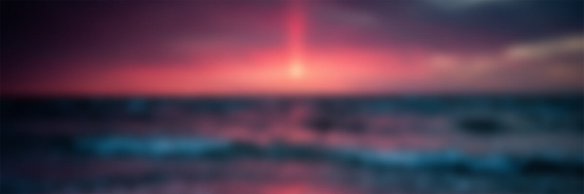 首页-新觅源码库